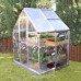 Darby Home Co Shearson 6 Ft. W x 4.5 Ft. D Greenhouse   